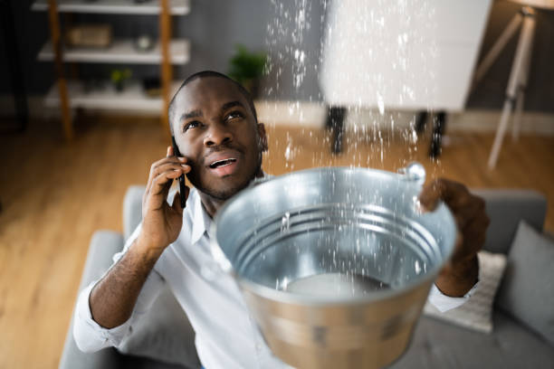 Best Water damage cleanup near me  in English Creek, NJ