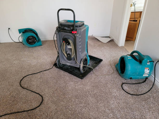  English Creek, NJ Water damage restoration Pros
