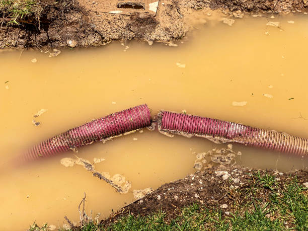 Best Water damage restoration process  in English Creek, NJ
