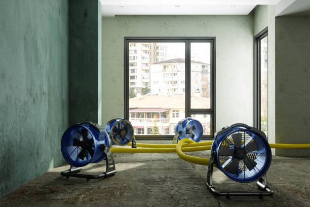 Best Water damage contractors near me  in English Creek, NJ